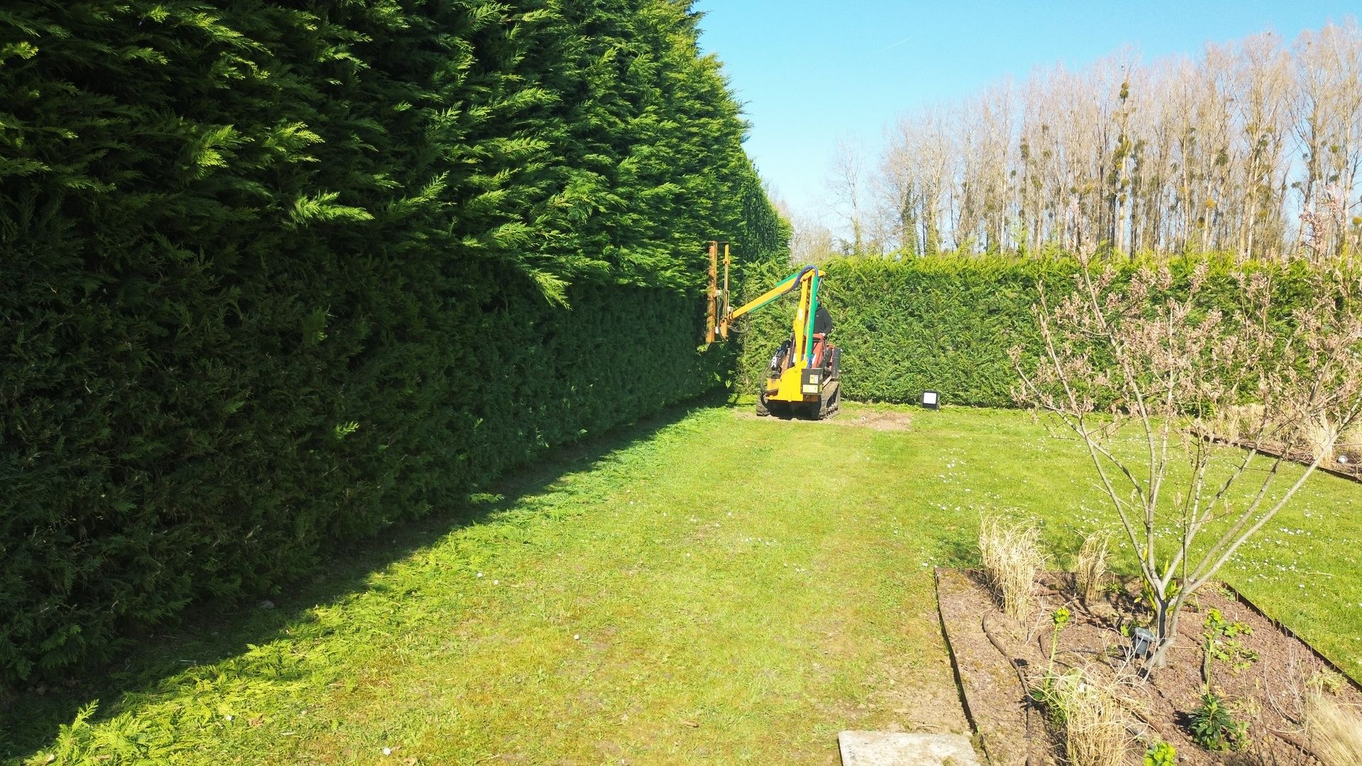 Une personne portant un équipement de protection coupe l'herbe près d'un arbre avec une débroussailleuse dans une zone boisée.