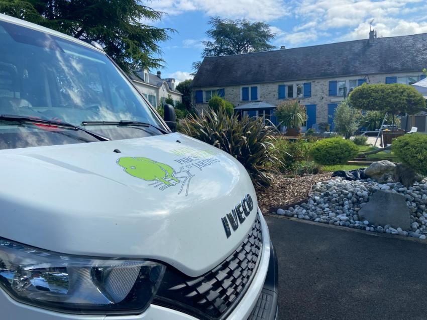 Arboriste dans un arbre, coupant une branche avec une tronçonneuse, portant un équipement de sécurité.