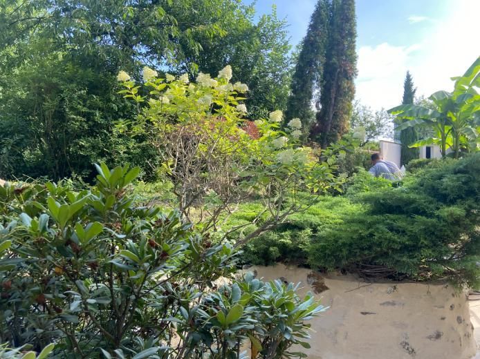 Jardin verdoyant à la végétation variée, comprenant arbustes, buissons et arbres ; une personne est visible en arrière-plan.