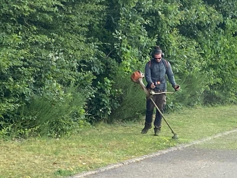 Un arboriste, perché dans un arbre, coupe une branche à la tronçonneuse. Il porte un casque et un équipement de sécurité.