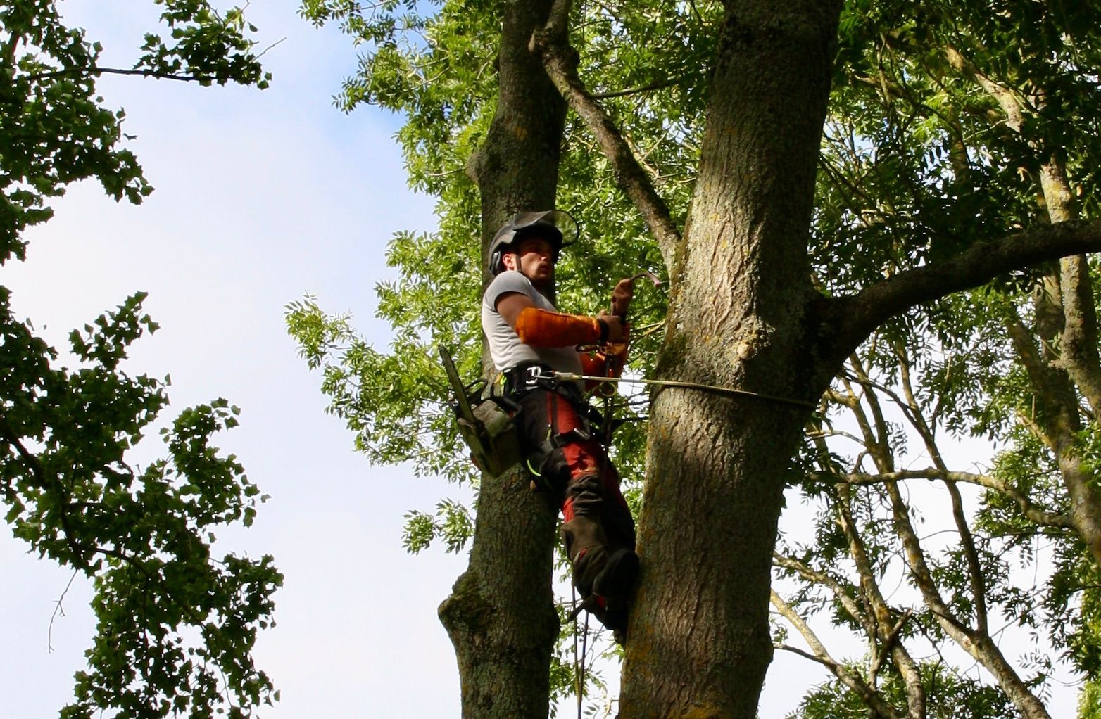 Arboriste en tenue de sécurité, travaillant dans un grand arbre, sur fond de ciel partiellement nuageux.