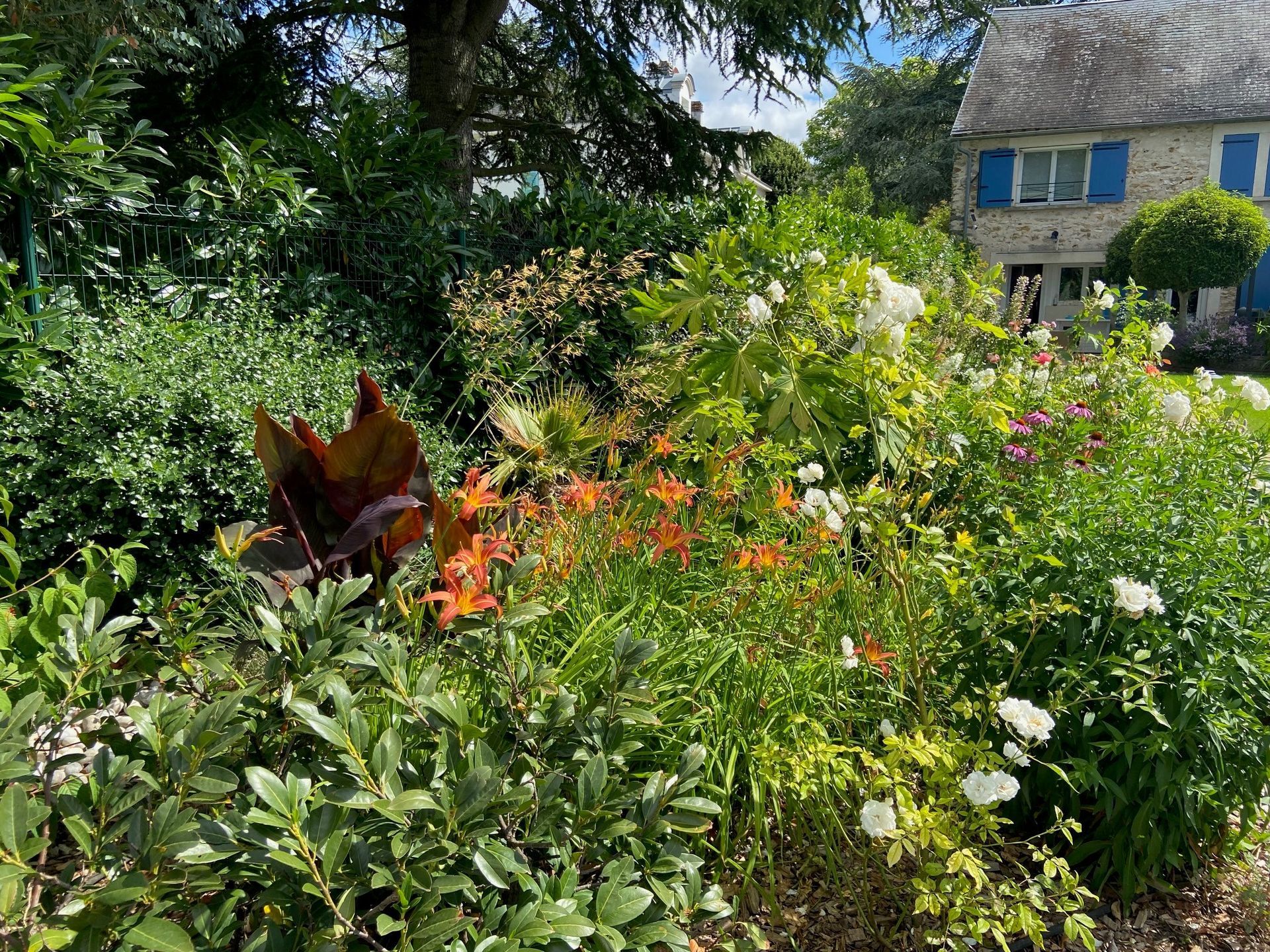 Jardin luxuriant avec des lys orange, des fleurs blanches et de la verdure, devant une maison en pierre aux volets bleus.