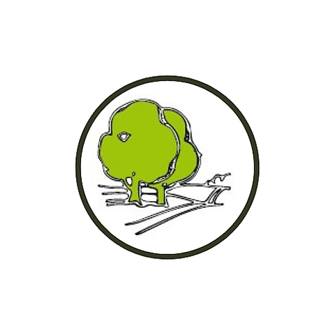 Tronçonneuse rouge sur une souche d'arbre dans une zone boisée.