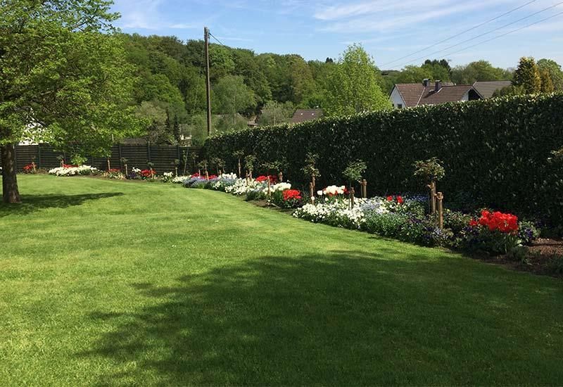 Ein üppiger grüner Rasen mit Blumen und Bäumen im Hintergrund