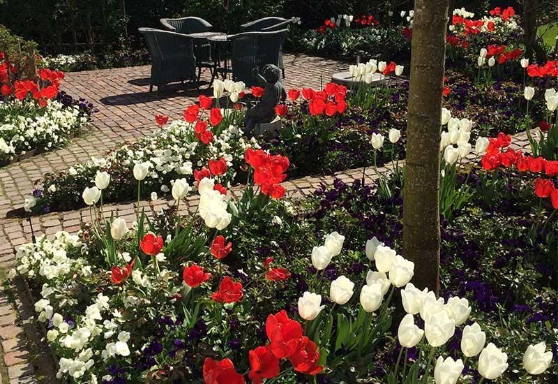 Ein Garten voller rot-weißer und violetter Blumen