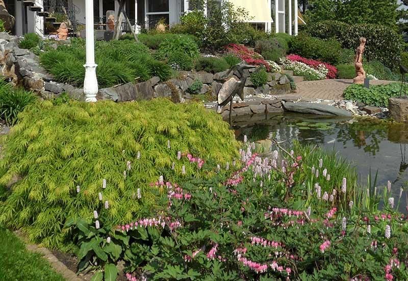 Ein Garten mit einem Teich und Blumen vor einem Haus.