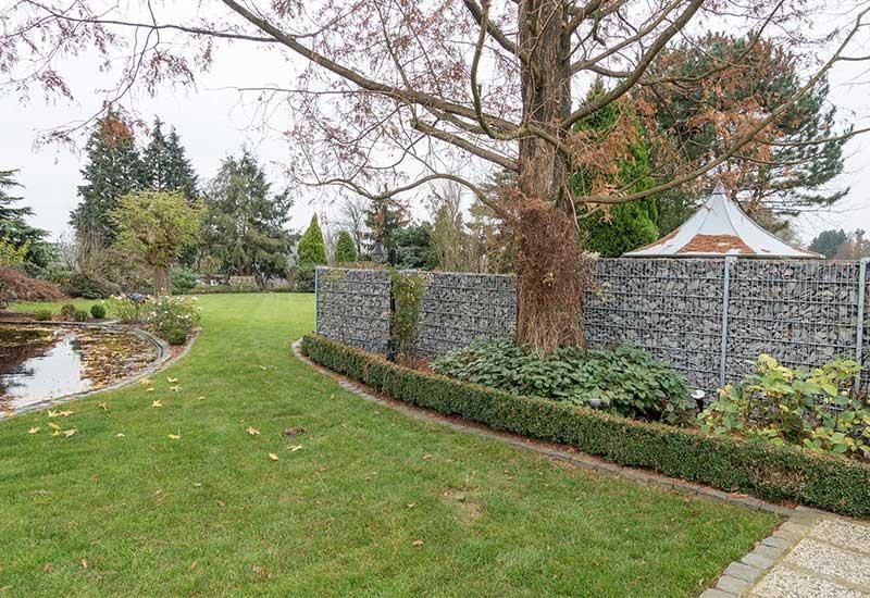 Mitten im Garten steht ein großer Baum.