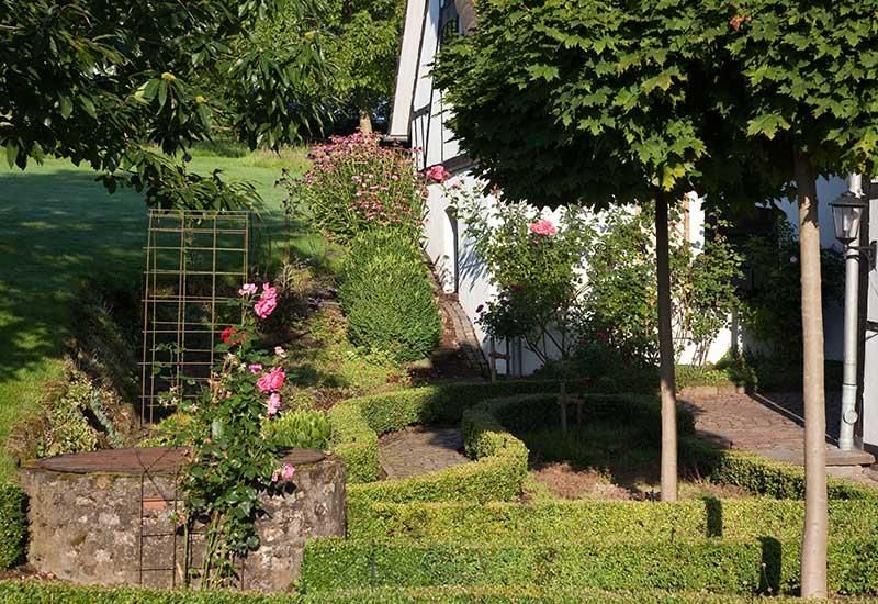 Ein Garten mit Bäumen und Sträuchern vor einem Haus