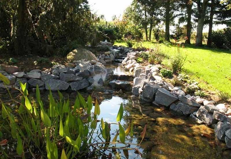 Ein Bach, der durch ein felsiges Gebiet mit Bäumen im Hintergrund fließt