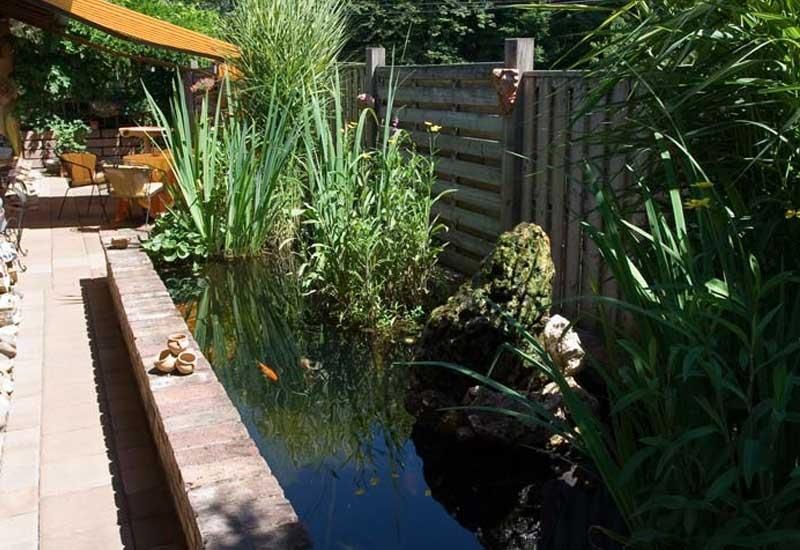 Ein Teich, umgeben von Pflanzen und einem Holzzaun