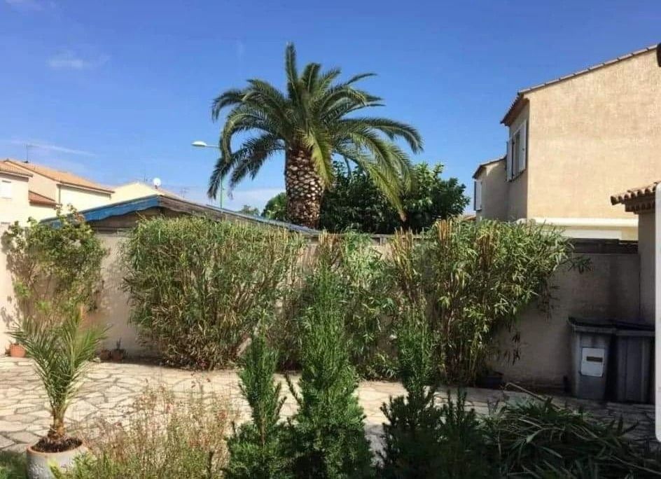 Jardin avec un palmier, des buissons et des bâtiments résidentiels sous un ciel bleu.
