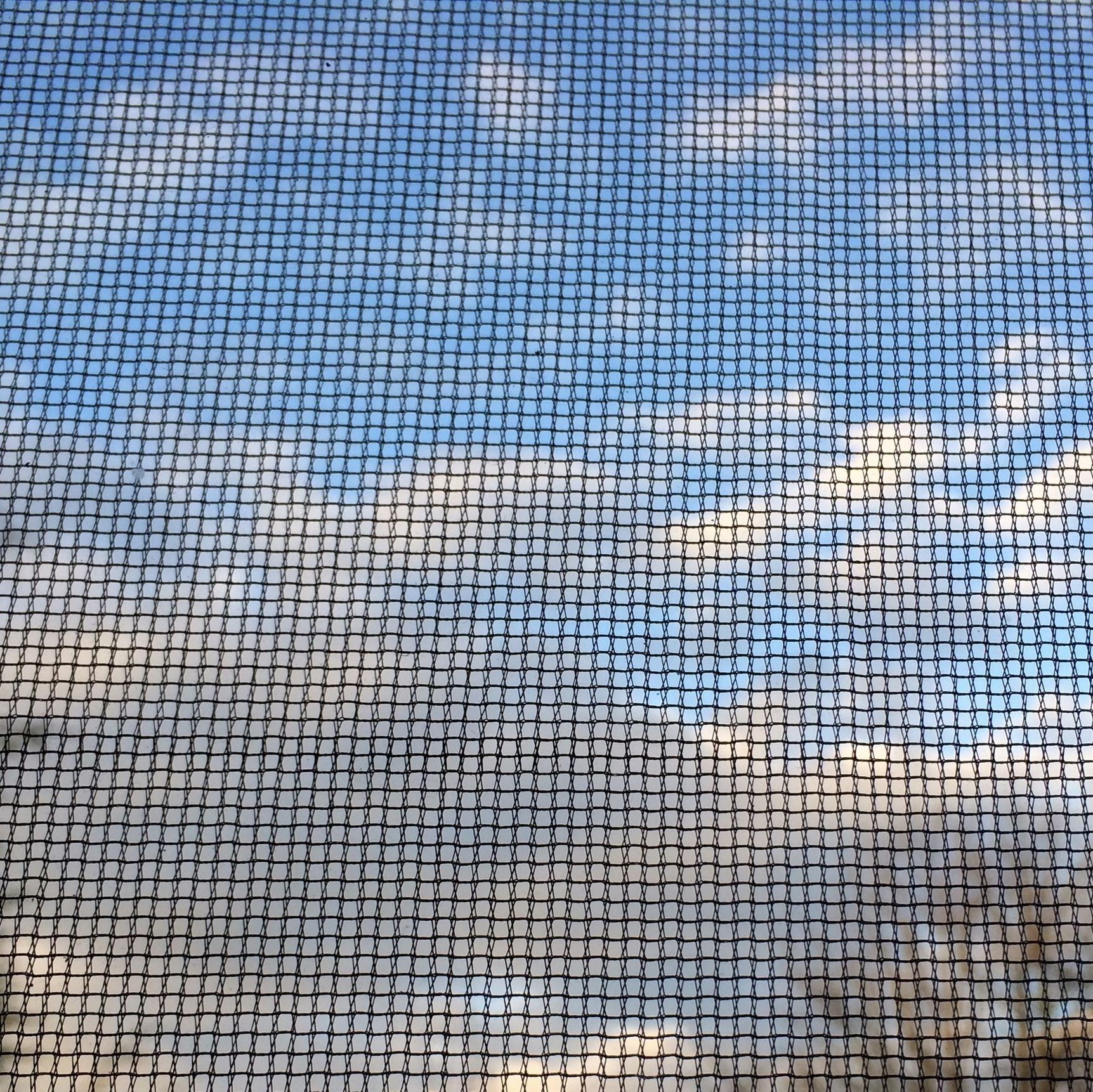 Della Vecchia Stores SA| Cossonay