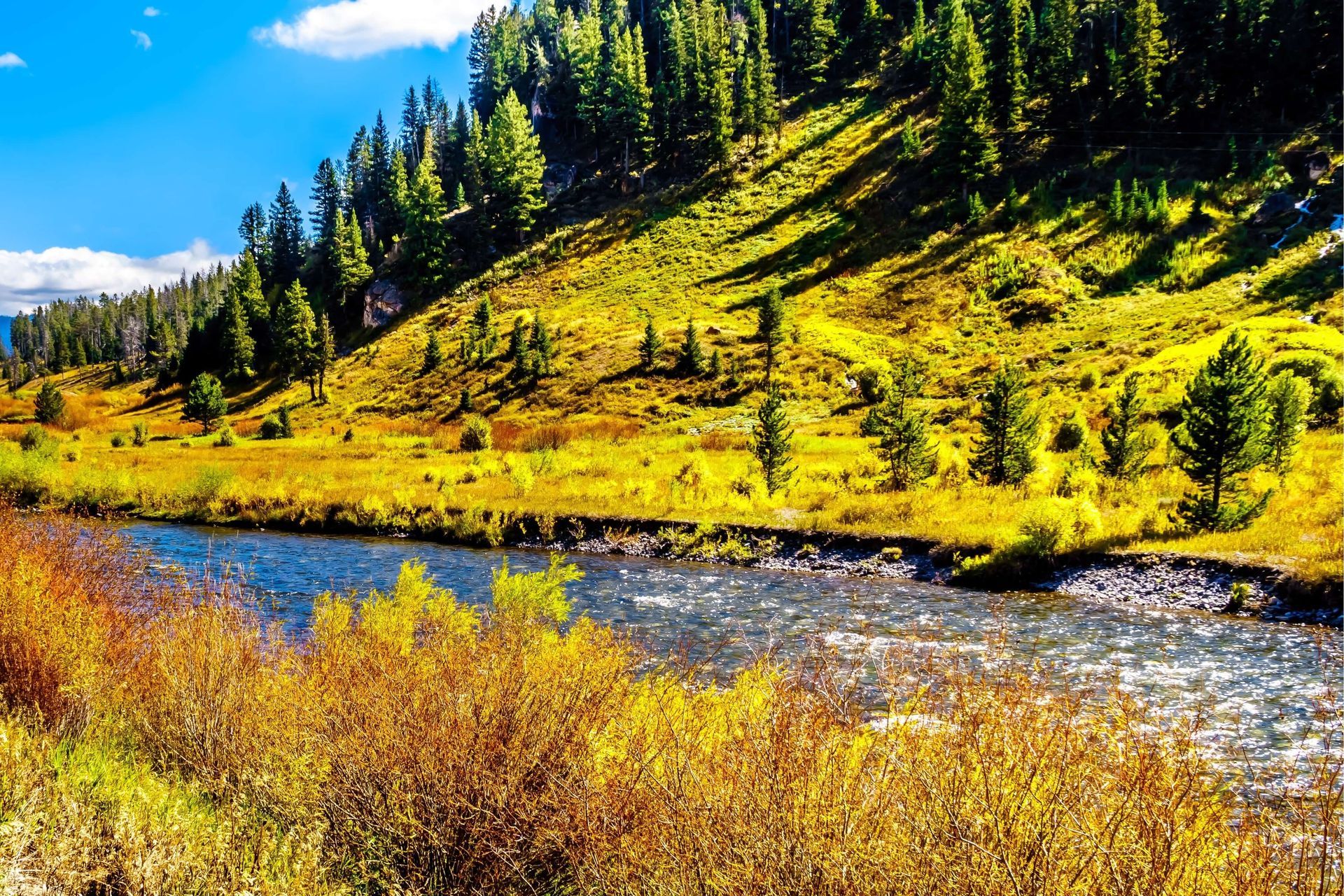 Sunny Day on Gallatin River.
