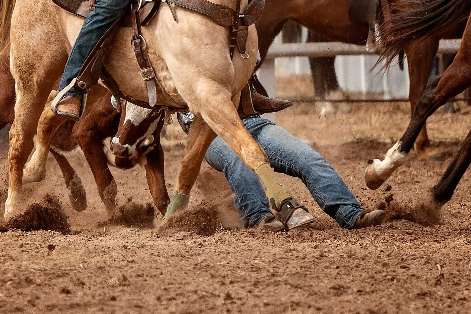 Visit Big Sky, Montana, For The PBR Rodeo And Wildlands Music Festival