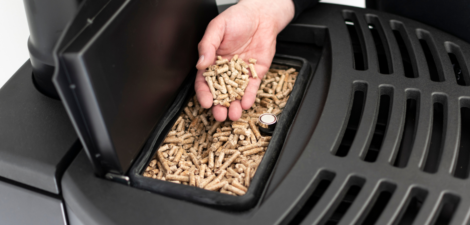 Une personne tient un tas de granulés de bois dans sa main.