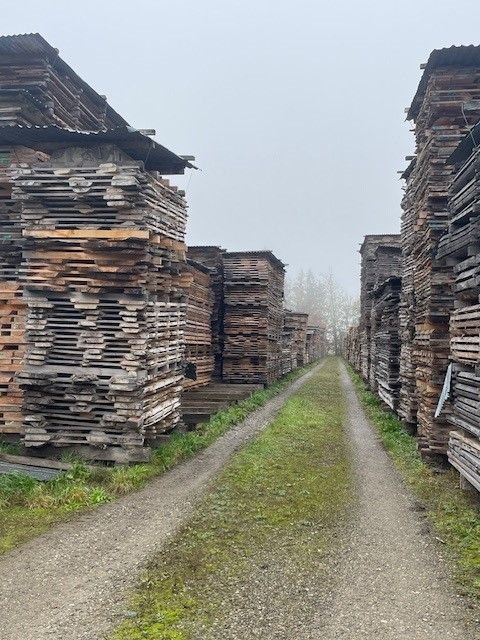 Schotterweg zwischen hohen Stapeln verwitterter Holzplanken unter grauem Himmel