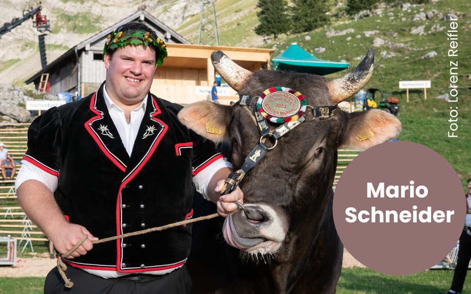 Mann steht neben einer geschmückten Kuh in alpiner Umgebung, beschriftet mit „Mario Schneider“.
