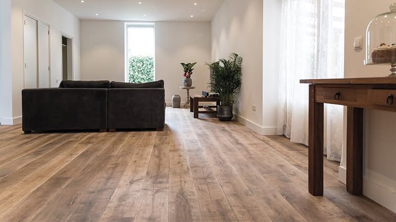 Salon moderne avec parquet, canapé d'angle noir, plantes et table en bois près d'une fenêtre lumineuse.