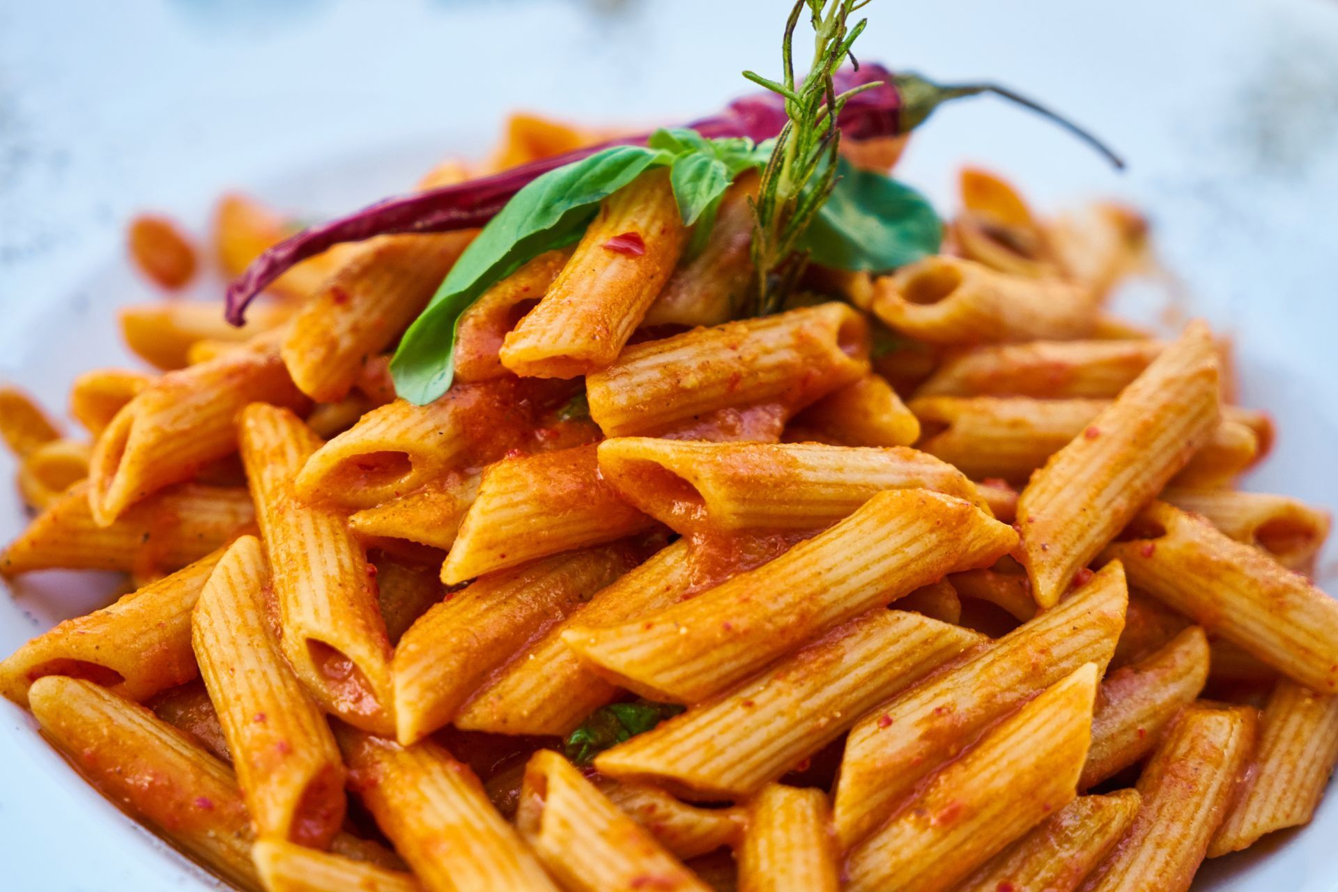 Pasta penne con salsa roja en un recipiente blanco, adornada con albahaca, romero y un pimiento rojo.