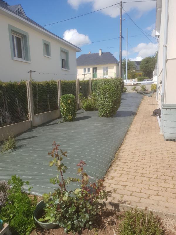 Jardin avec buissons protégés et entretenus