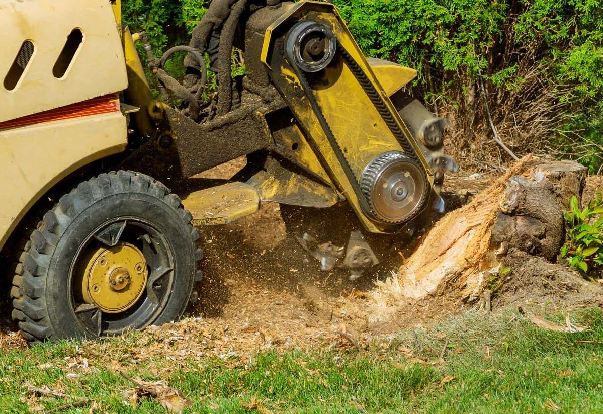 Engin rognant une souche