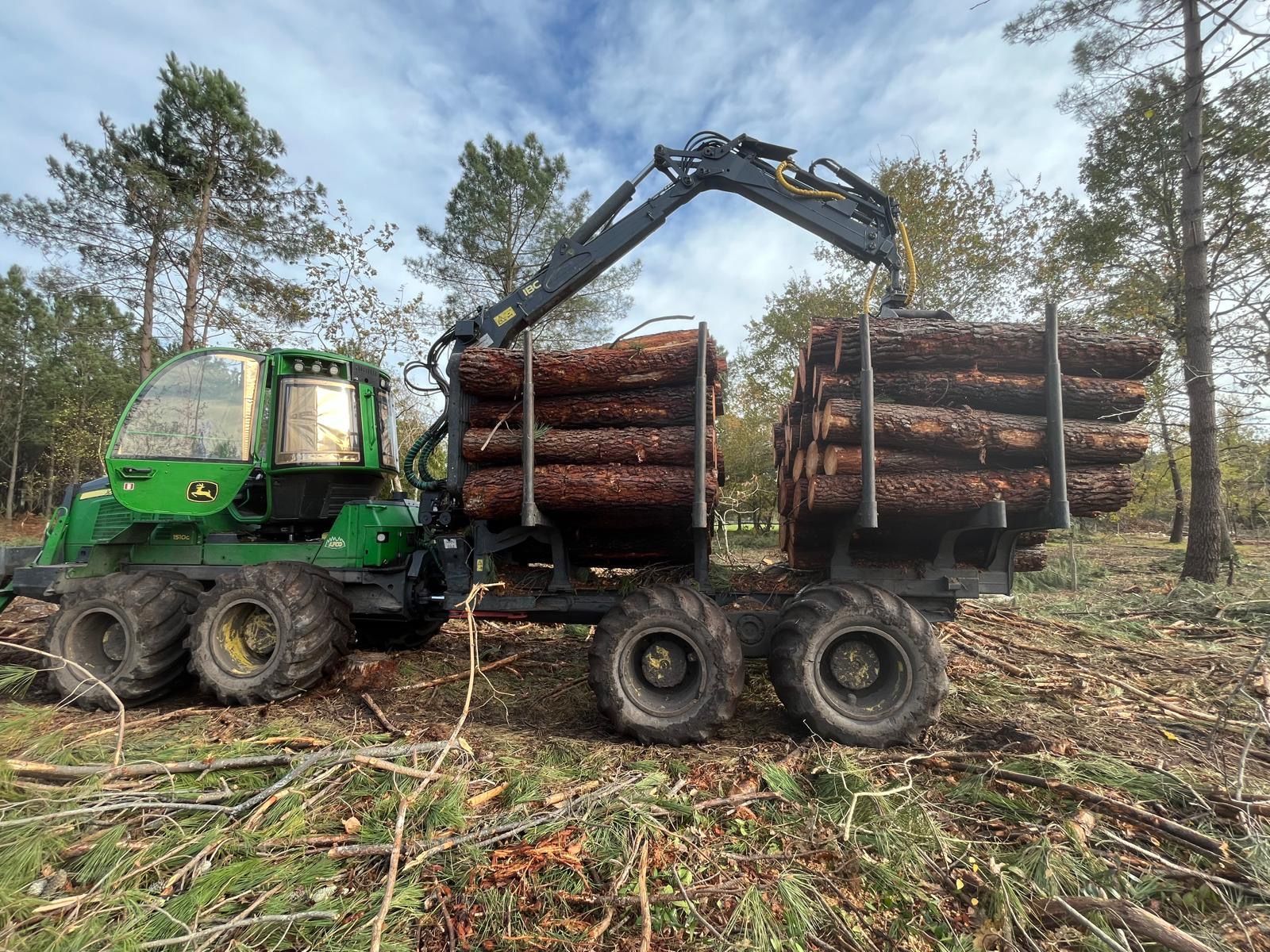 Un véhicule forestier vert charge du bois coupé sur une remorque dans une clairière boisée.