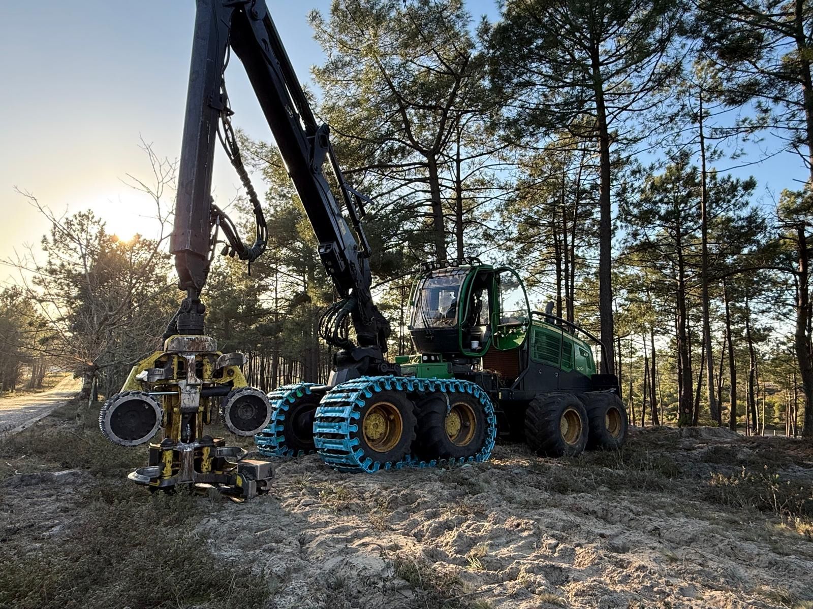 Abatteuse forestière à flèche allongée coupant des arbres dans une clairière boisée et ensoleillée