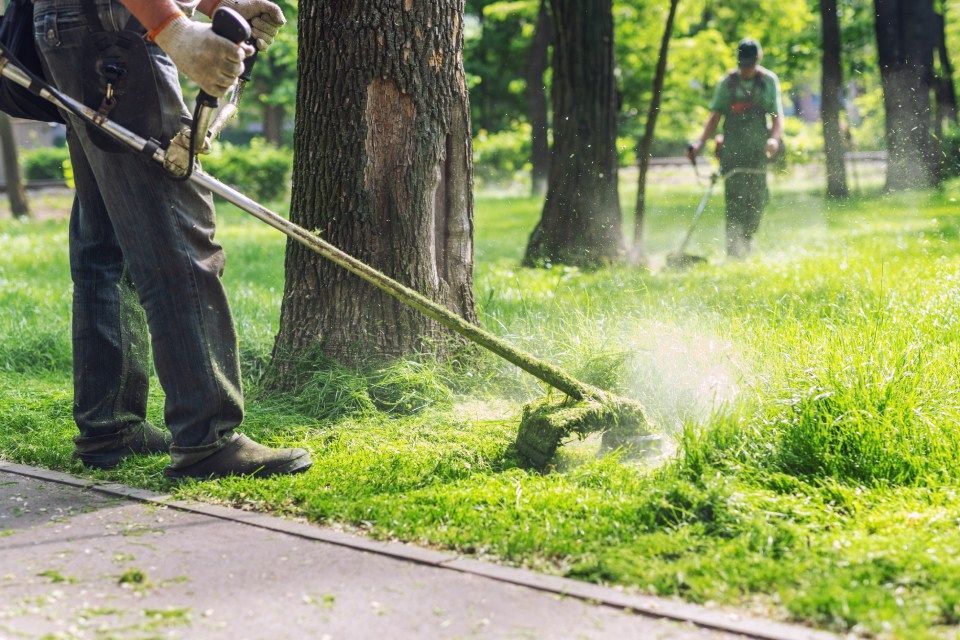 Arbeiter benutzen an einem sonnigen Tag Rasentrimmer entlang eines grasbewachsenen Parkwegs.