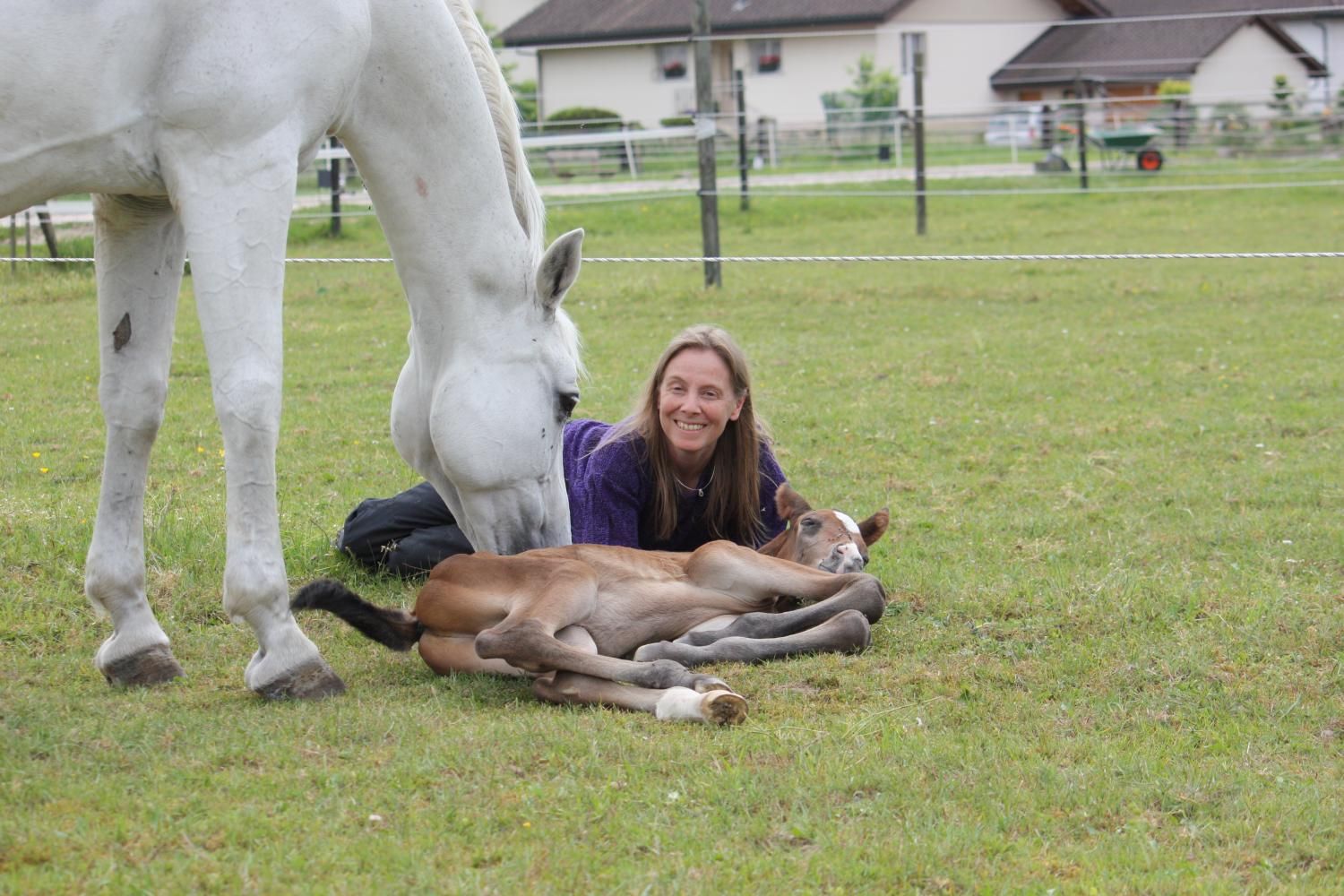 Portner-Elektro GmbH