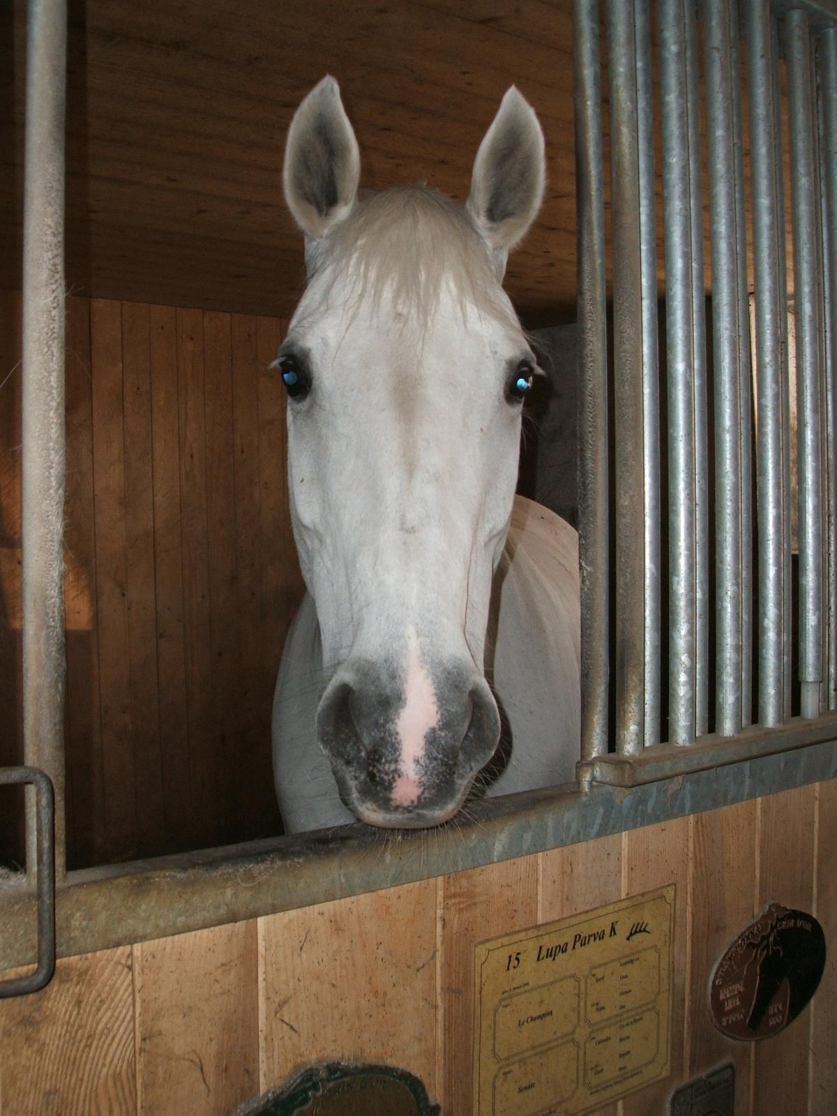 Portner-Elektro GmbH