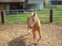 Portner-Elektro GmbH