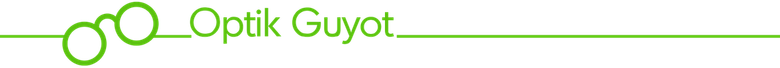 Icon Optik Guyot GmbH