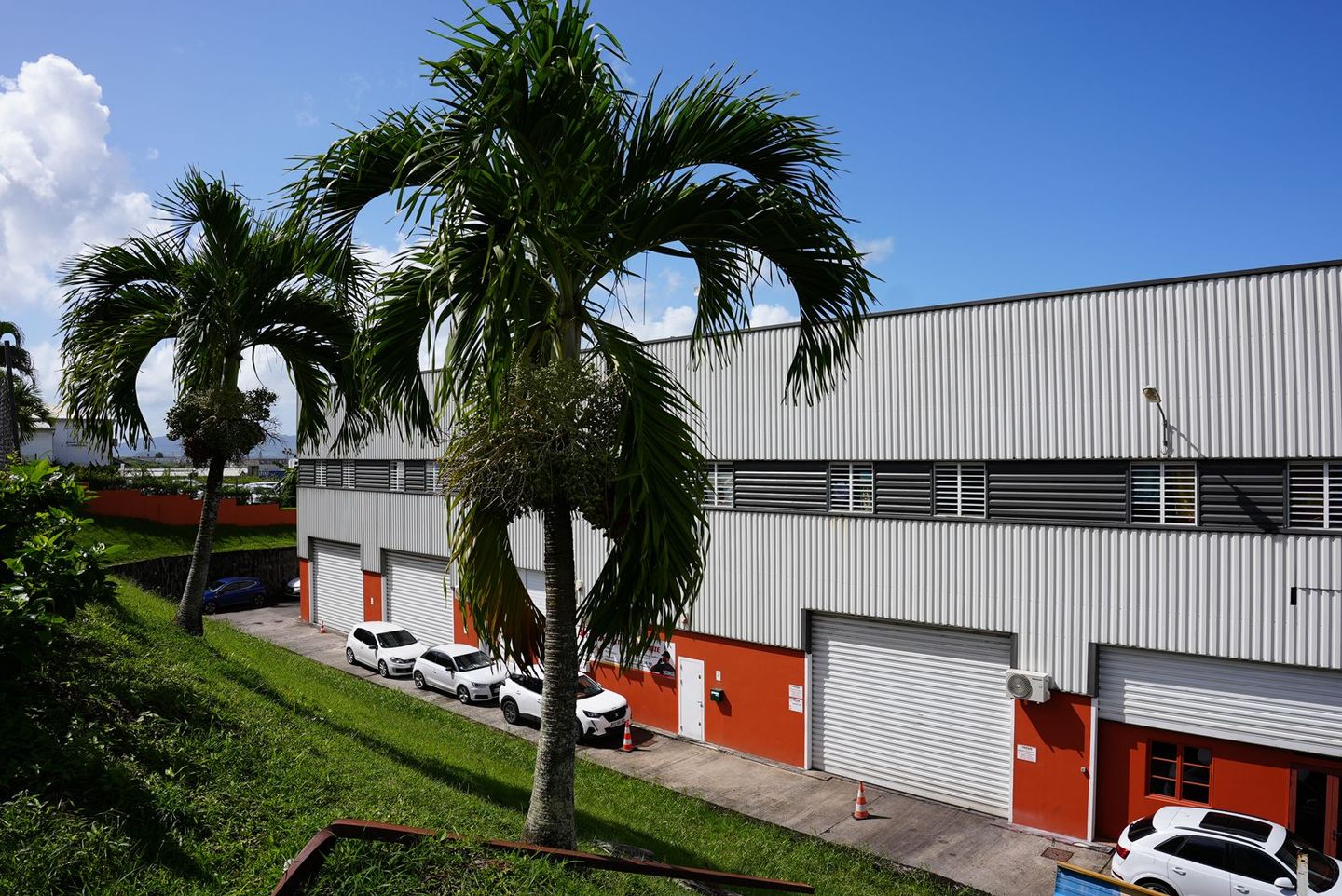 Palmiers devant un bâtiment blanc avec plusieurs garages ; voitures garées à proximité par une journée ensoleillée.