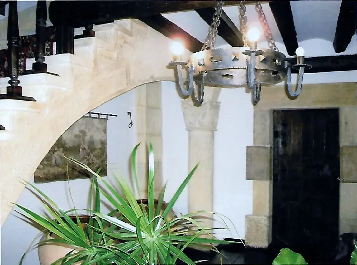 Una habitación con una planta y una lámpara de araña colgando del techo.