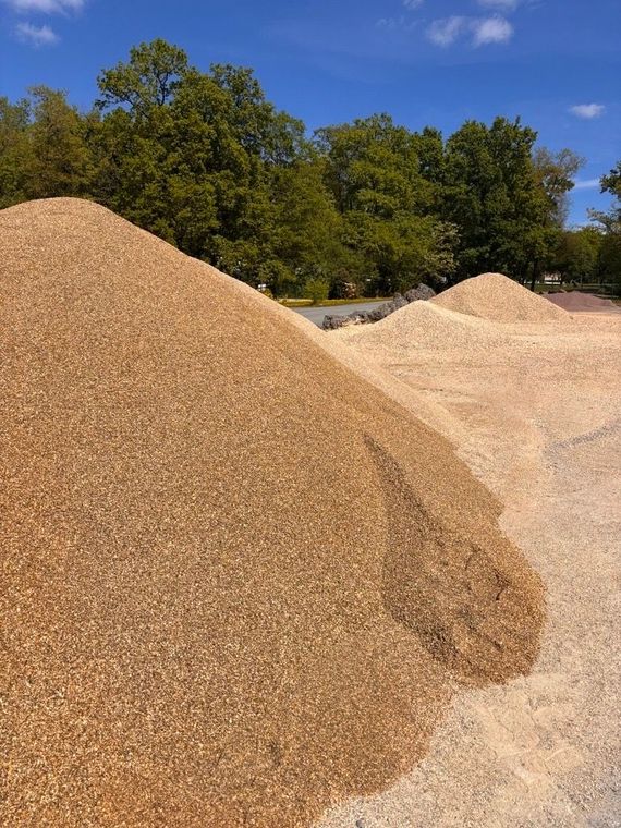 De grands tas de paillis de bois brun clair sont entreposés dans un espace ouvert, avec des arbres verts en arrière-plan.