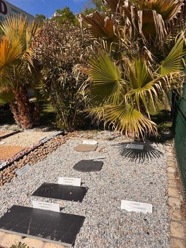 Des échantillons de carreaux de pierre sont présentés sur une aire d'exposition extérieure recouverte de gravier, avec des palmiers en arrière-plan.