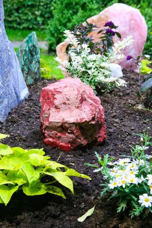Ein Felsen liegt inmitten eines Gartens, umgeben von Pflanzen und Felsen.