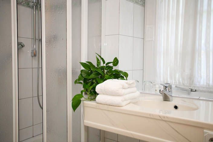 Ein Badezimmer mit Waschbecken, Dusche und einer Pflanze auf der Ablage