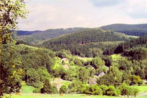 Eine Landschaft mit vielen Bäumen und Bergen im Hintergrund