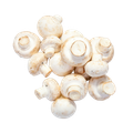 Un bouquet de champignons de Paris blancs et frais, disposés sur un fond blanc uni.