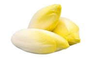 Trois endives belges fraîches, d'un jaune pâle, disposées sur un fond blanc uni.