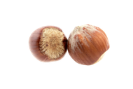 Deux noisettes brunes entières à la coque texturée, côte à côte sur fond blanc.