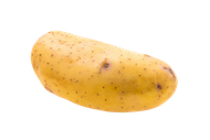 Une seule pomme de terre crue, à la peau jaune clair et parsemée de petites taches sombres, isolée sur un fond blanc.
