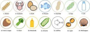 Une infographie présentant 14 icônes numérotées représentant les allergènes alimentaires courants, notamment les céréales, les fruits de mer, les produits laitiers et les noix.