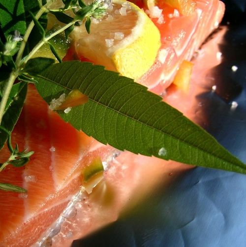Escalope de saumon au restaurant La Source au Plessis-Robinson 92