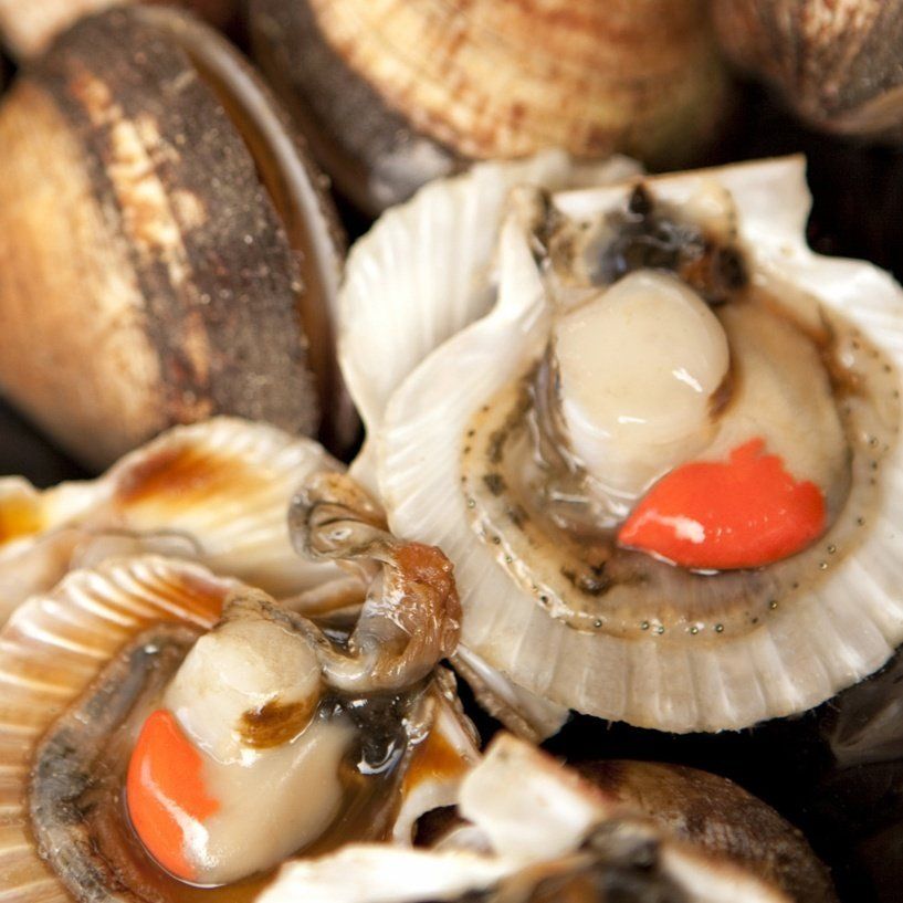 Coquilles Saint-Jacques au Restaurant La Source dans les Hauts-de-Seine
