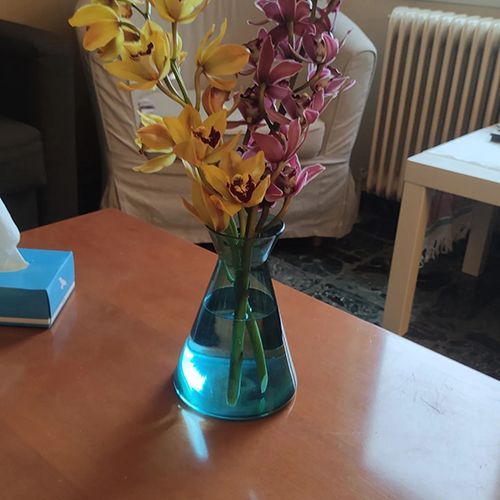 Διεύρυνσις - Ψυχολόγος - Σύμβουλος PCA Σπυριδούλα Σταμπολάκη