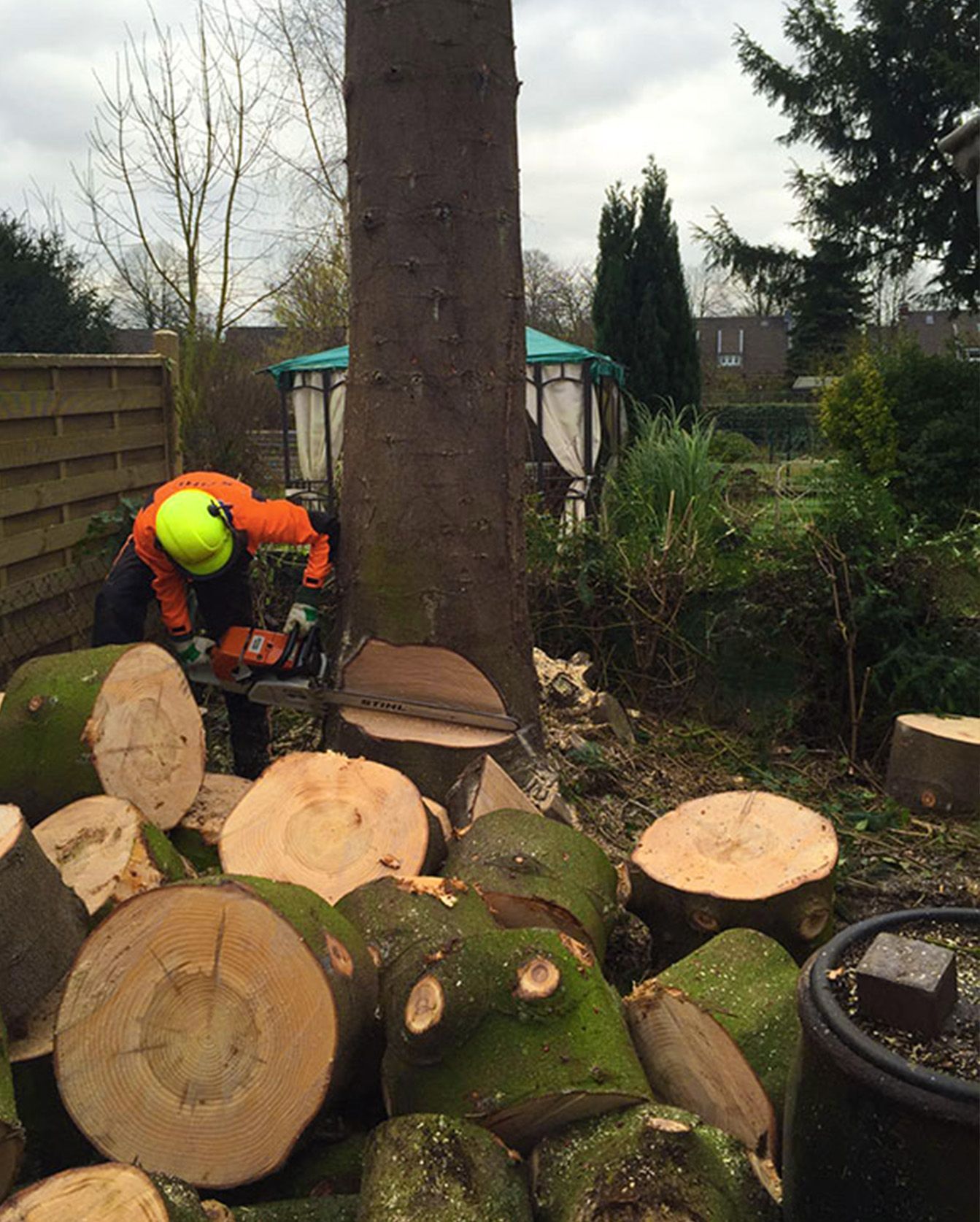 Wurzelstock-Beseitigung