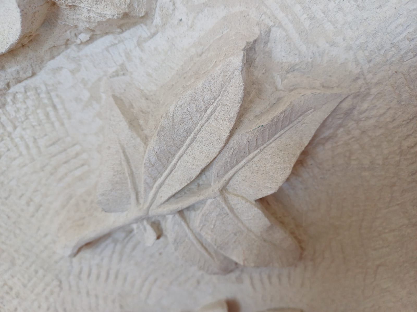 Eine Nahaufnahme einer Steinschnitzerei eines Blattes an einer Wand.