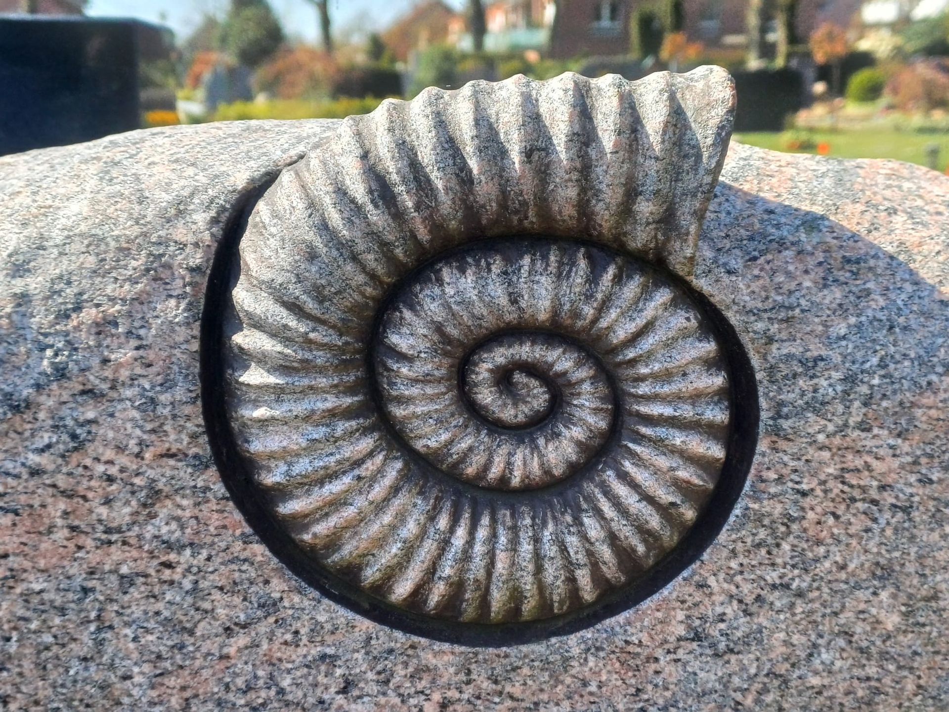 Ein Ammonit ist in einen Felsen auf einem Friedhof gehauen